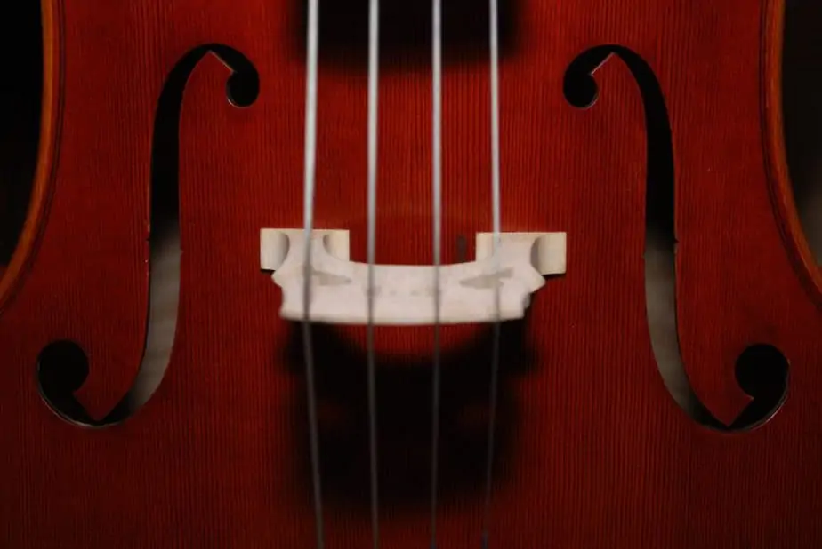 バイオリンのドアップ